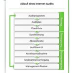 welche rolle spielen interne audits im risikomanagement
